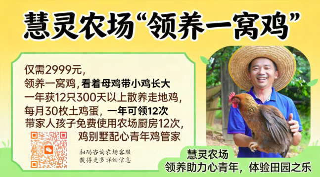 1776307012478816.png image.png